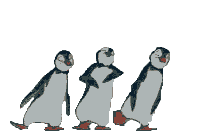 Picture of Dancing Penguins